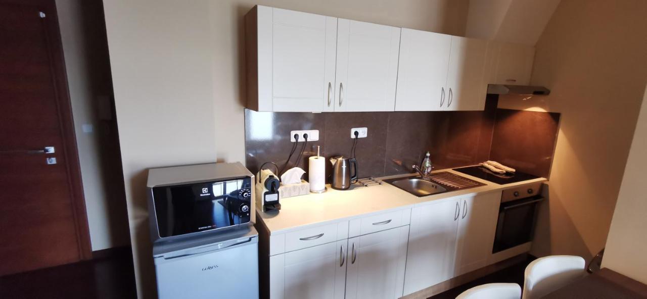 Moser Apartment Carlsbad Карлові Вари Екстер'єр фото