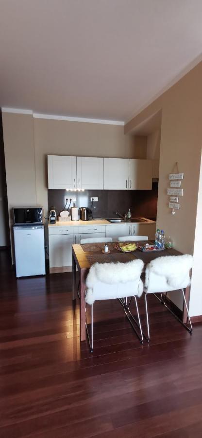 Moser Apartment Carlsbad Карлові Вари Екстер'єр фото