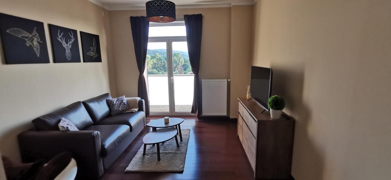 Moser Apartment Carlsbad Карлові Вари Екстер'єр фото