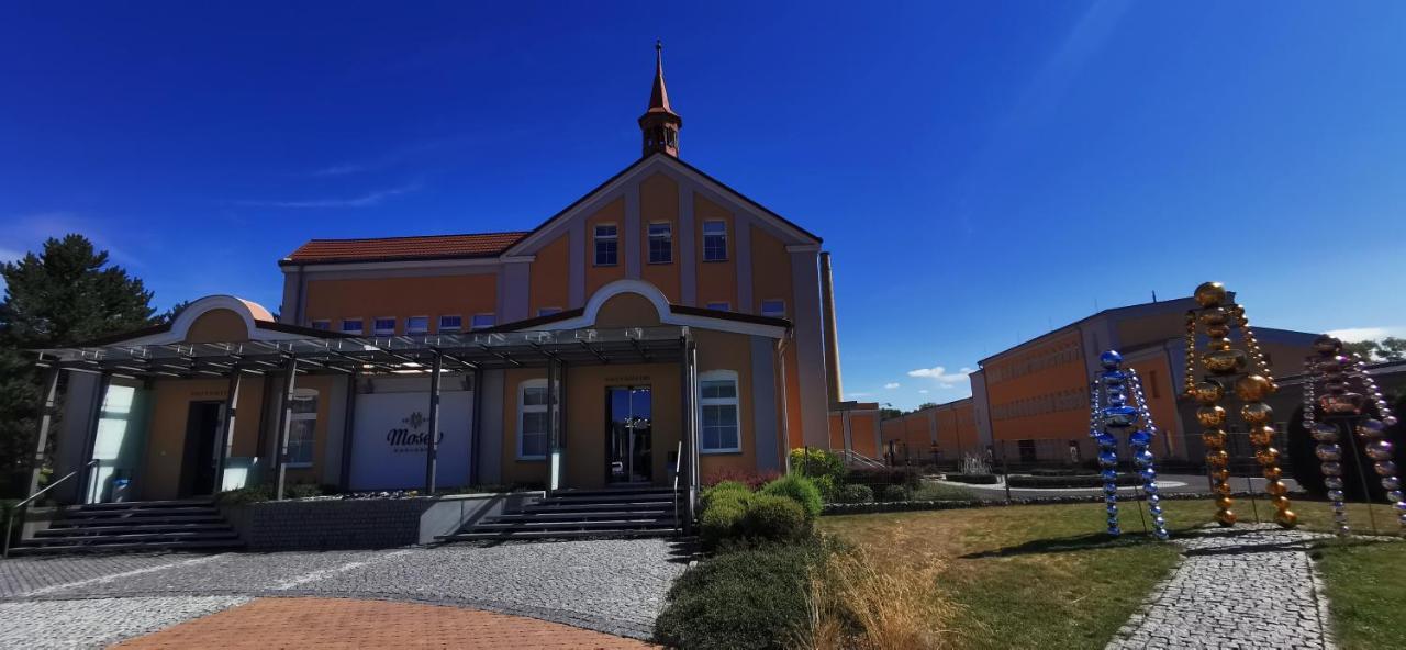 Moser Apartment Carlsbad Карлові Вари Екстер'єр фото